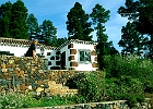 Casa Lomo Loro oberhalb von Las Tricias : Haus, Mauer, Andrea